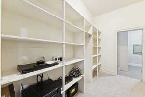 Walk in closet featuring light colored carpet