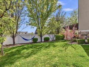 South-facing secluded backyard