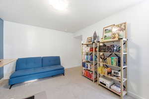 Living area with light carpet
