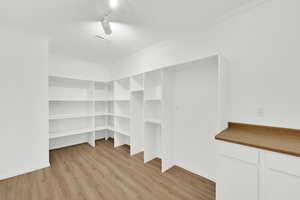 Pantry, storage, laundry room