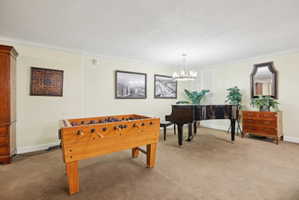 Recreation room with carpet flooring, ornamental molding, and suspended lighting