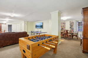 Recreation room with crown molding