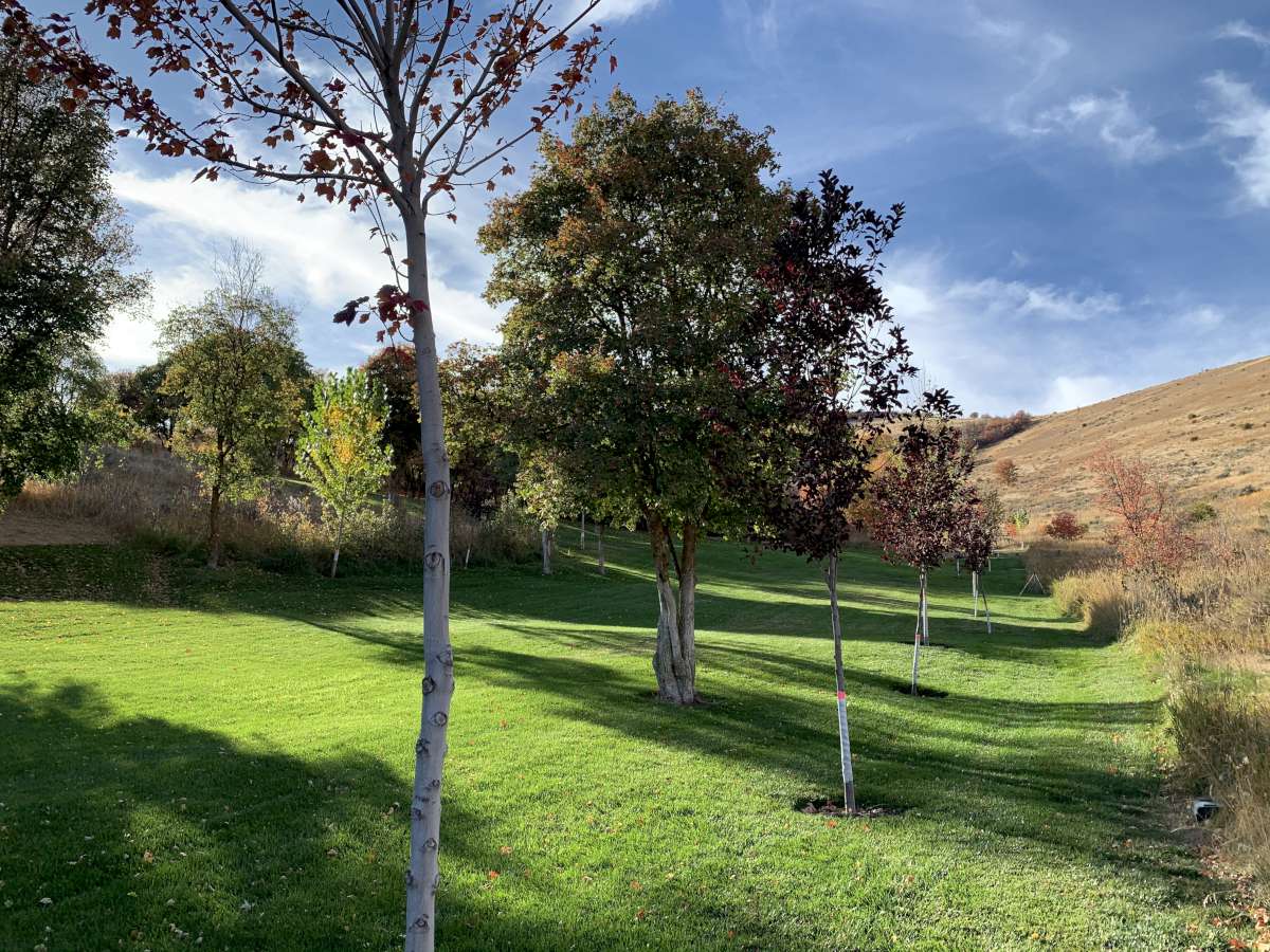 View of home's community