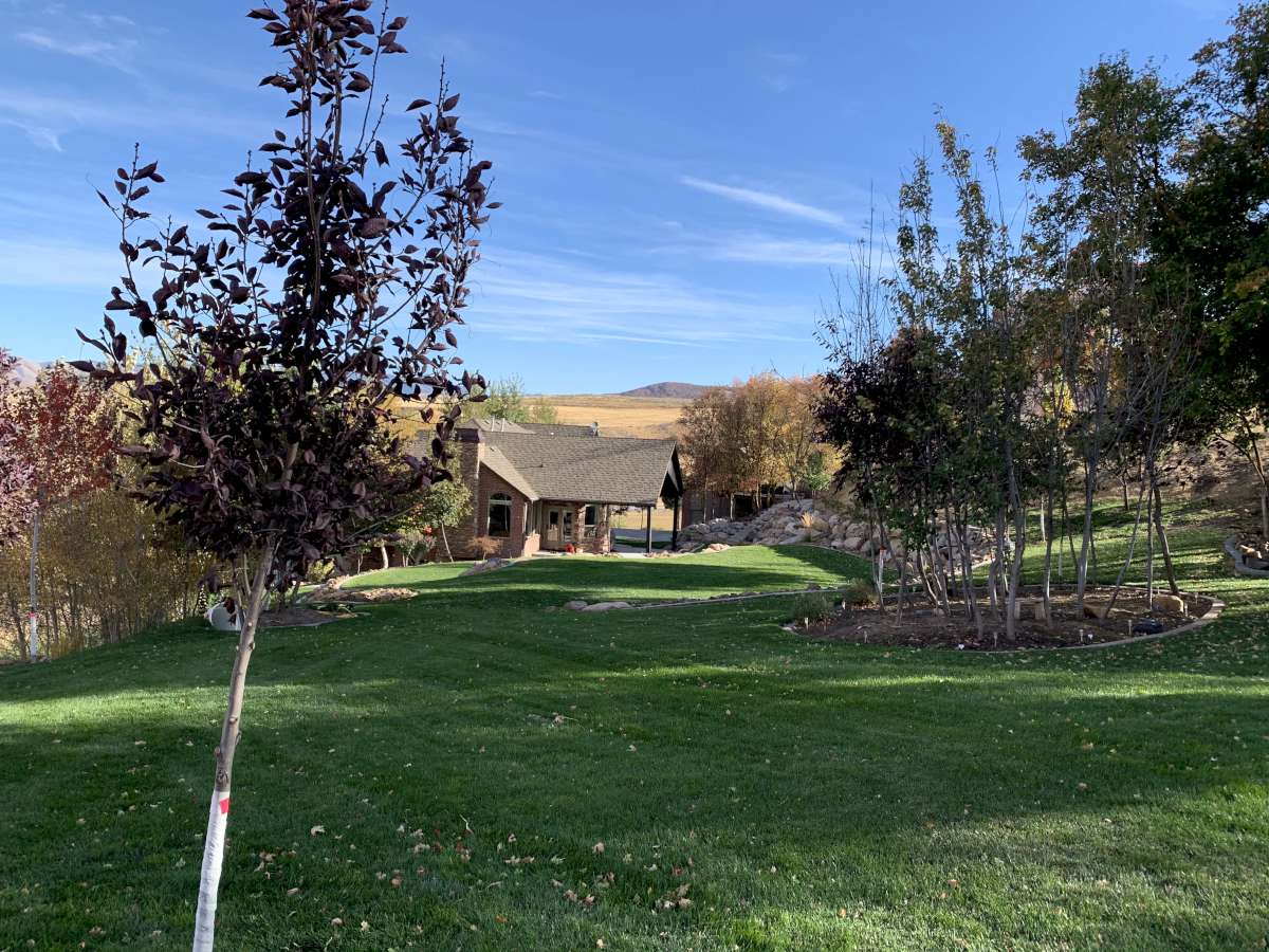 View of grassy yard featuring a mountain view and a patio area