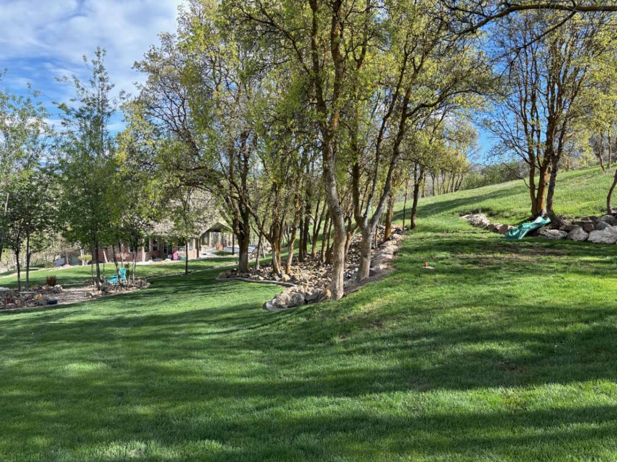 View of home's community featuring view of wooded area