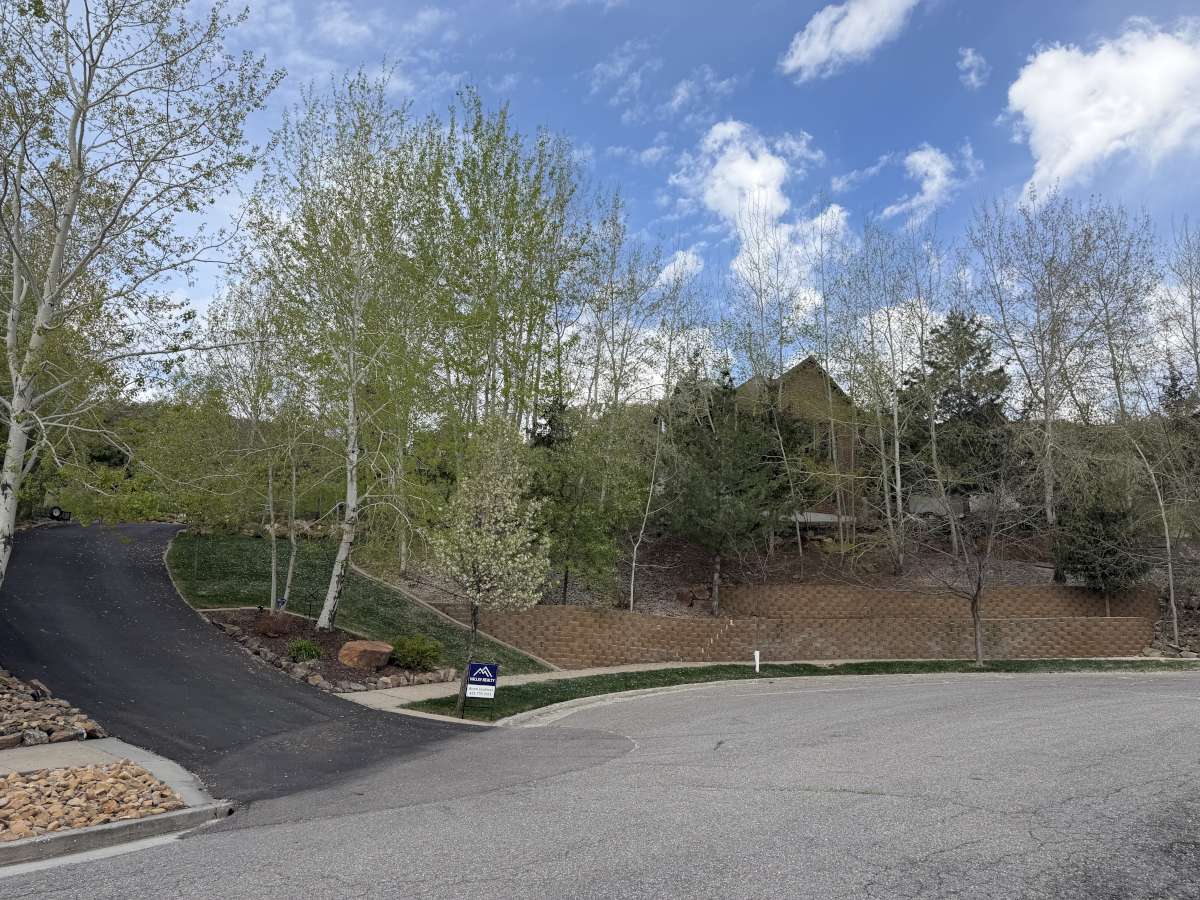 View of asphalt road featuring curbs and sidewalks