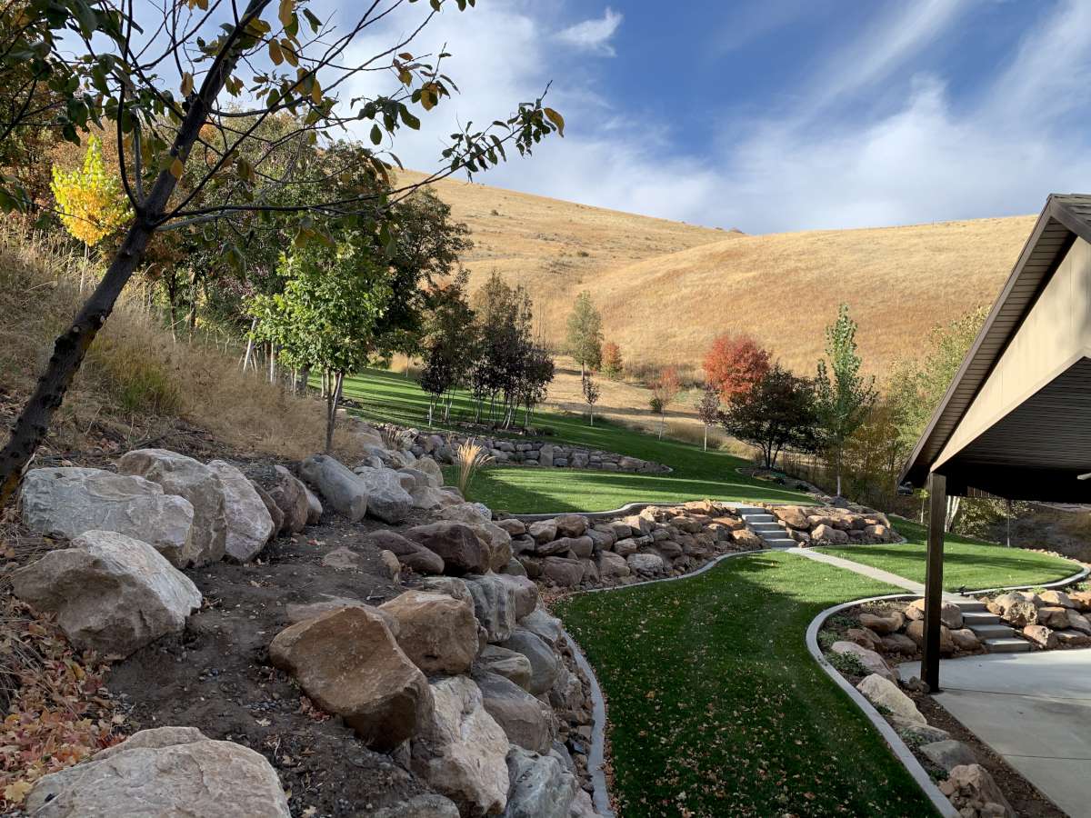 View of green lawn
