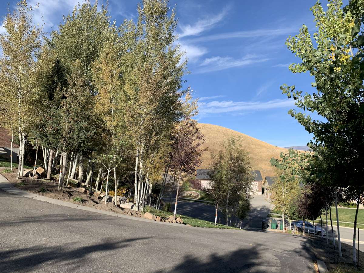 View of asphalt street with a mountain view