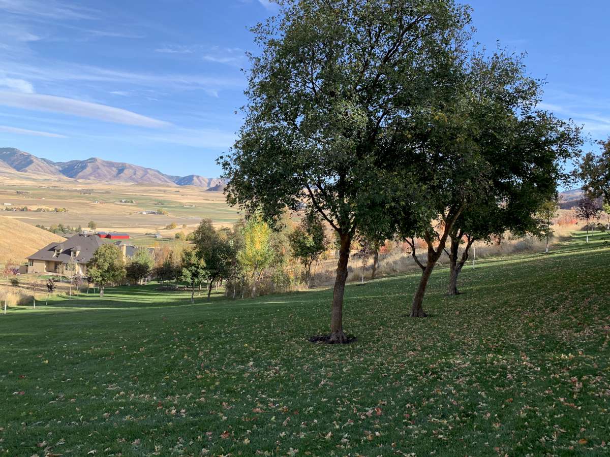 View of grassy yard with a view of rural / pastoral area