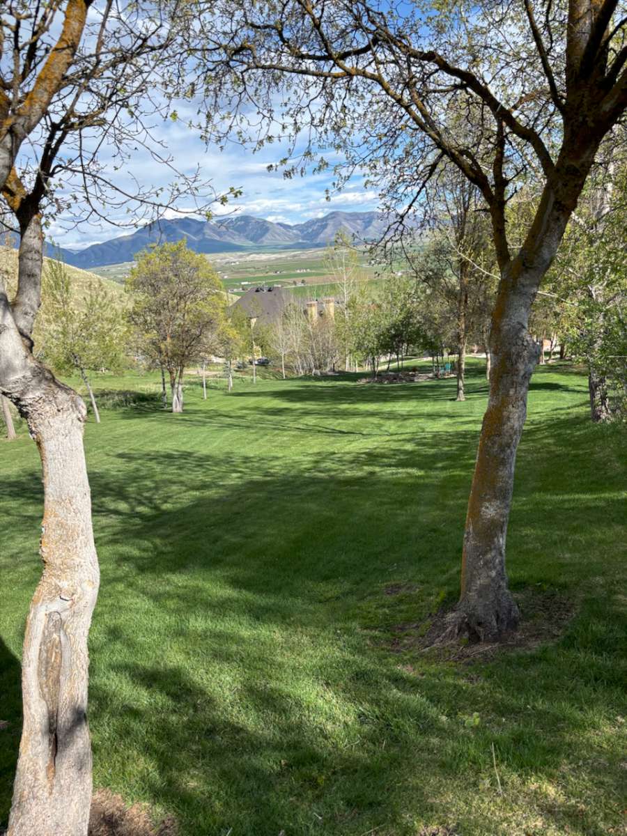 View of property's community with a mountain view