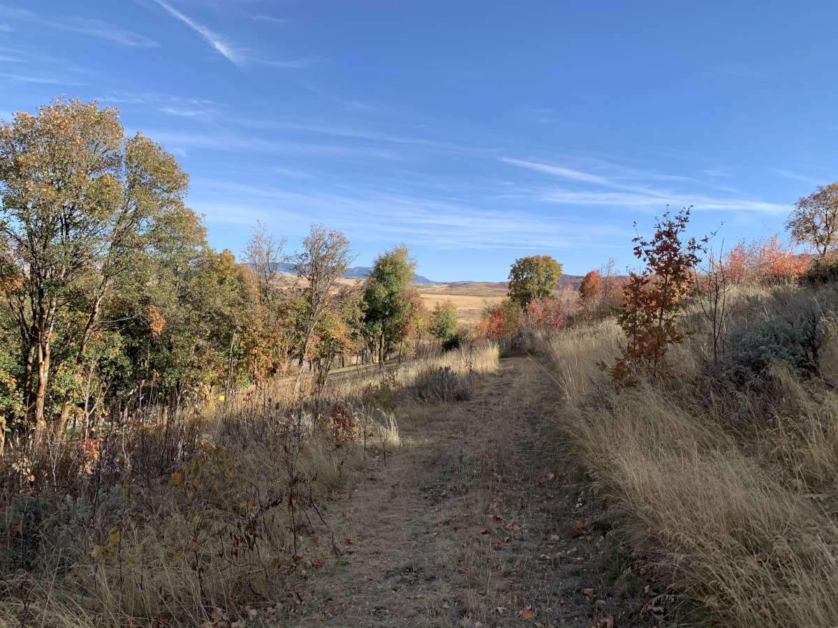 View of undeveloped land with rural landscape