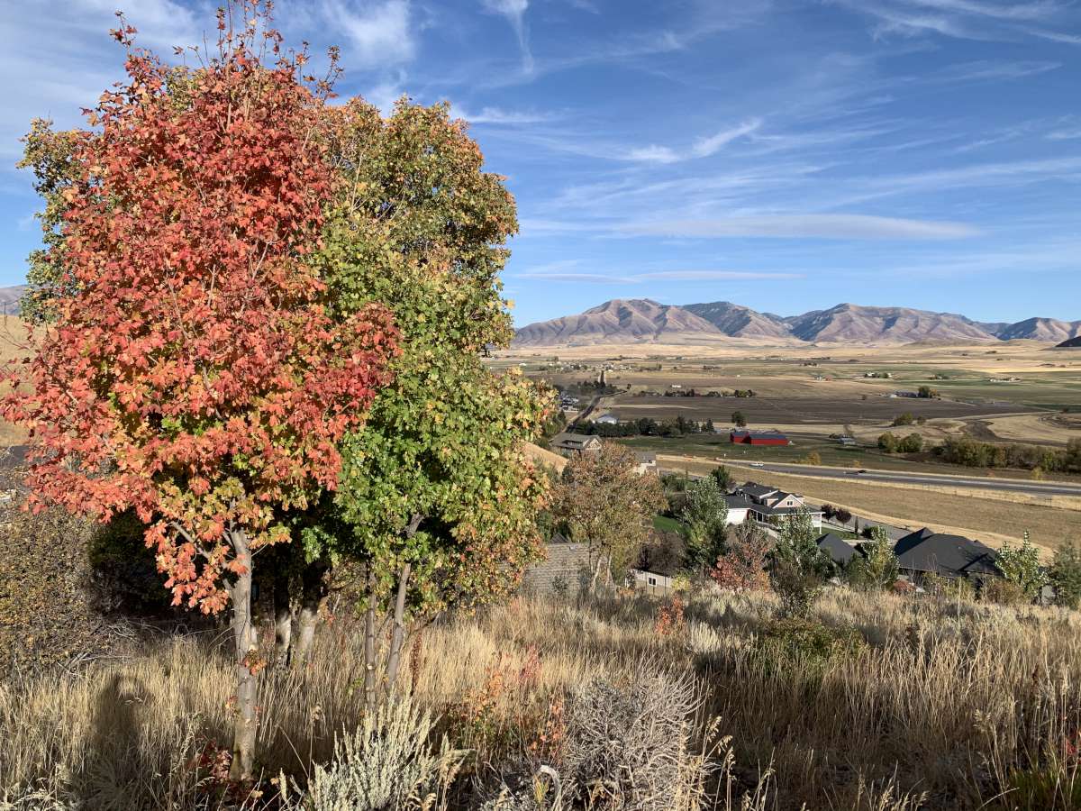 View of mountain backdrop