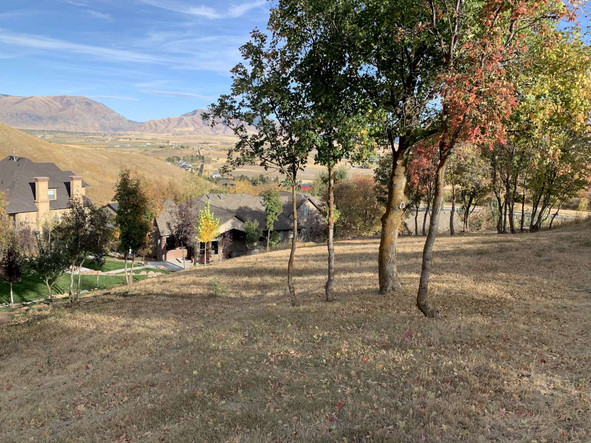 View of mountain background