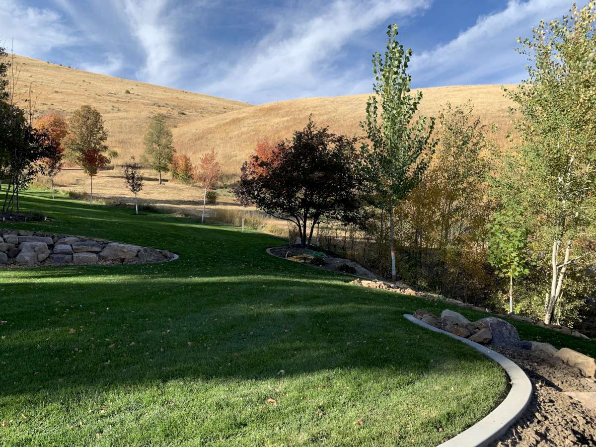 View of green lawn