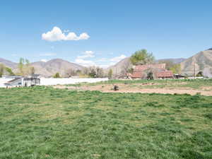 View of yard featuring a mountain view