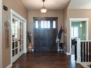 Entrance foyer featuring healthy amount of natural light and dark wood-type flooring