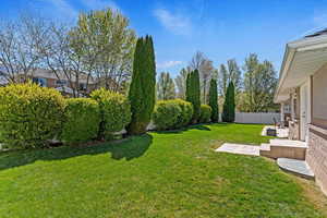 View of fenced backyard