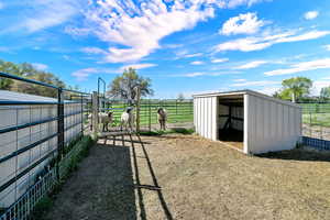 Loafing sheds for mid sized animals.  This pen is set up for pigs as well