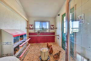 Walk in chicken coop for egg collection