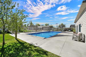 View of the pool from North West corner of the ADU