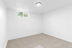 Downstairs bedroom