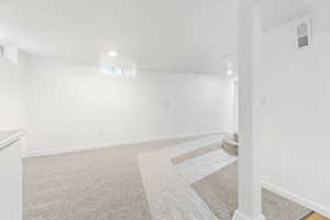 carpeted Basement