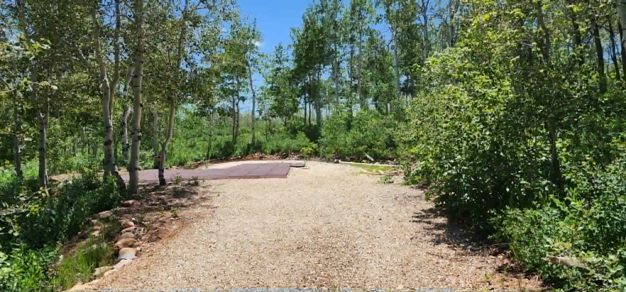 Gravel area surrounded by mature trees and lush vegetation
