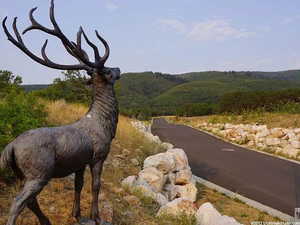 View of home's community