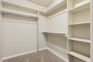 Walk in closet with light carpet