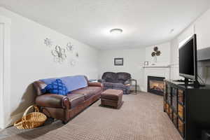 Carpeted living room with a glass covered fireplace and a textured ceiling