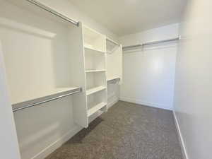 Walk in closet with dark colored carpet