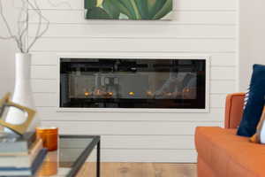 Detailed view of a glass covered fireplace and wood finished floors