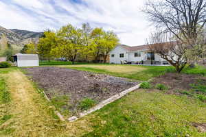 View of grassy yard with a patio and a storage shed
