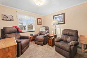 Sitting room featuring carpet, crown molding, a textured wall, and a textured ceiling