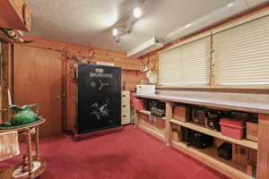 Misc room with a textured ceiling, dark carpet, wooden walls, and rail lighting