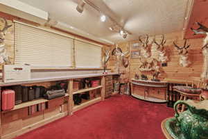 Miscellaneous room with a textured ceiling, rail lighting, dark carpet, wood walls, and a workshop area