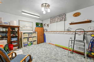 Rec room with carpet flooring and a textured ceiling