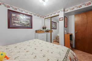 Bedroom with a closet, a textured ceiling, and light colored carpet