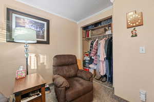 Living area with a textured wall, ornamental molding, and carpet