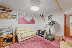 Living room featuring carpet flooring