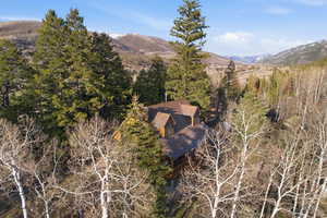 View of mountain background featuring a tree filled landscape