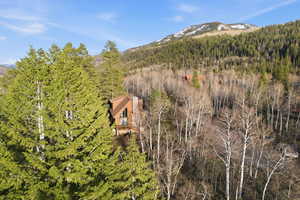 View of mountain backdrop featuring a heavily wooded area