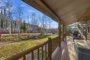 Wooden deck with grilling area