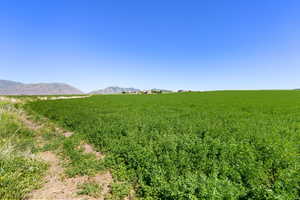 View of yard featuring agricultural plots, a view of rural / pastoral area, and a mountain view