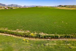 View of grassy yard with a mountain view