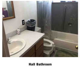 Full bathroom with vanity and shower / tub combo with curtain