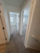 Hallway featuring healthy amount of natural light and light colored carpet