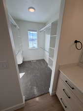 Walk in closet featuring dark colored carpet and dark wood finished floors