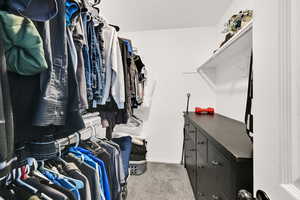 Walk in closet with carpet