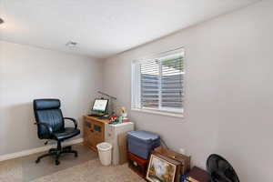 Office space featuring light colored carpet and a textured ceiling